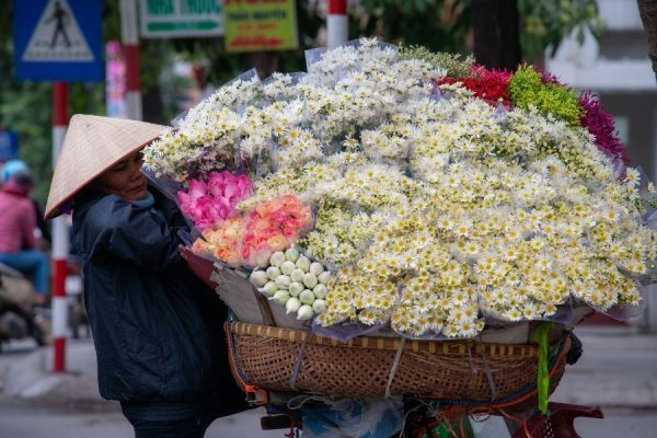 Hà Nội 2 Vietnam Luxury Tour