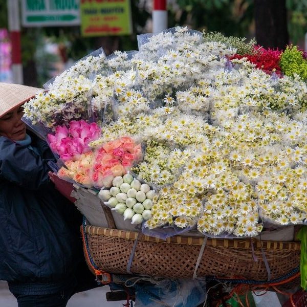 Hà Nội 2 Vietnam Luxury Tour