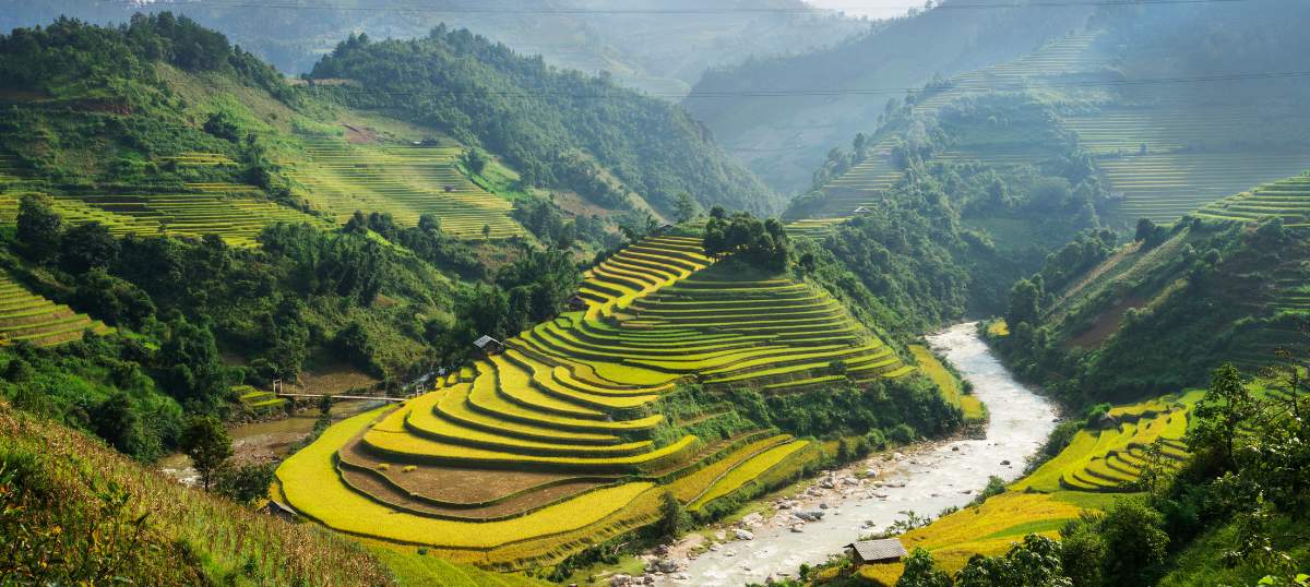 Highlands Vietnam Luxury Tours and Package
