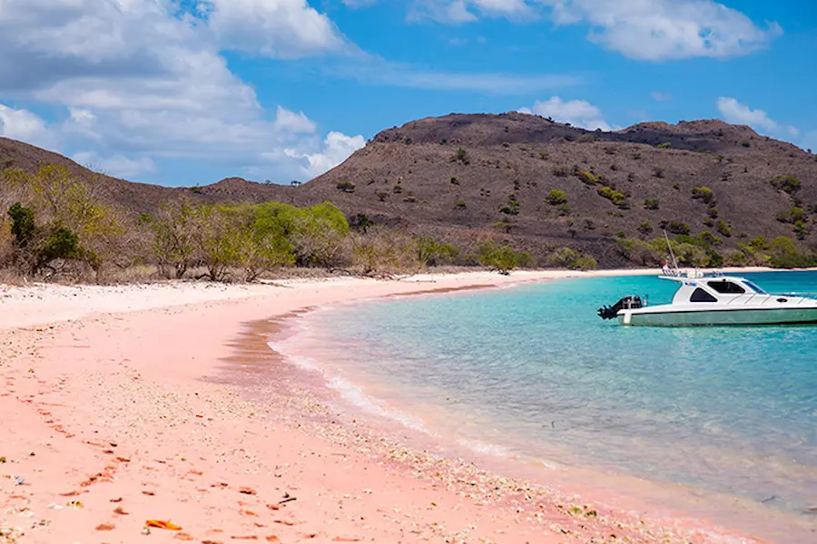Komodo National Park - best diving destinations in Southeast Asia