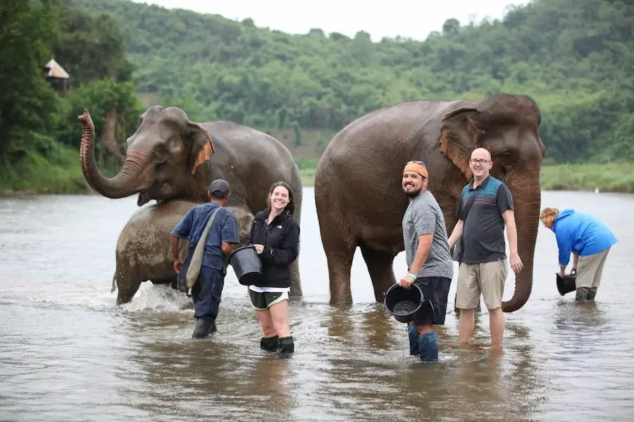 Luang Prabang's most ethical elephant village