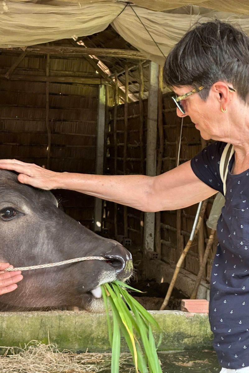 Meaningful connection between travelers and local farm life, highlighting authentic rural experiences