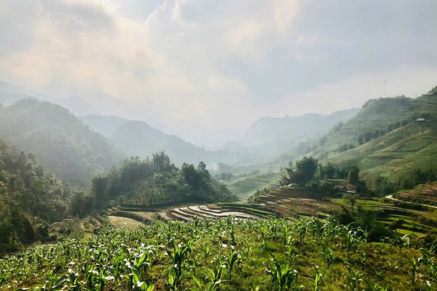 Preserving the breathtaking natural landscapes of Northern Vietnam through eco-friendly trekking tours