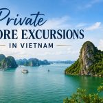 Private Shore Excursions in Vietnam - Day Trips from Ha Long, Da Nang & Phu My