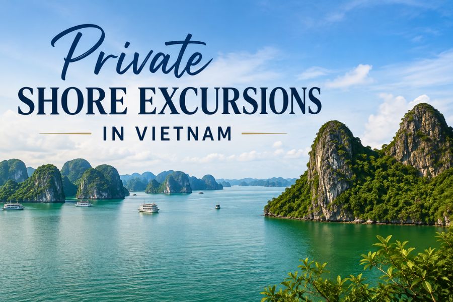 Private Shore Excursions in Vietnam - Day Trips from Ha Long, Da Nang & Phu My
