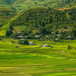Rice terraces Vietnam vietnam luxury travel