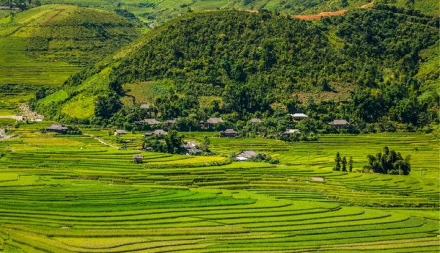 Rice terraces Vietnam vietnam luxury travel