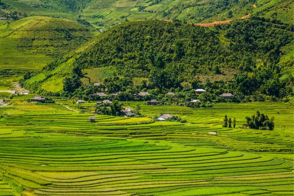 Rice terraces Vietnam vietnam luxury travel