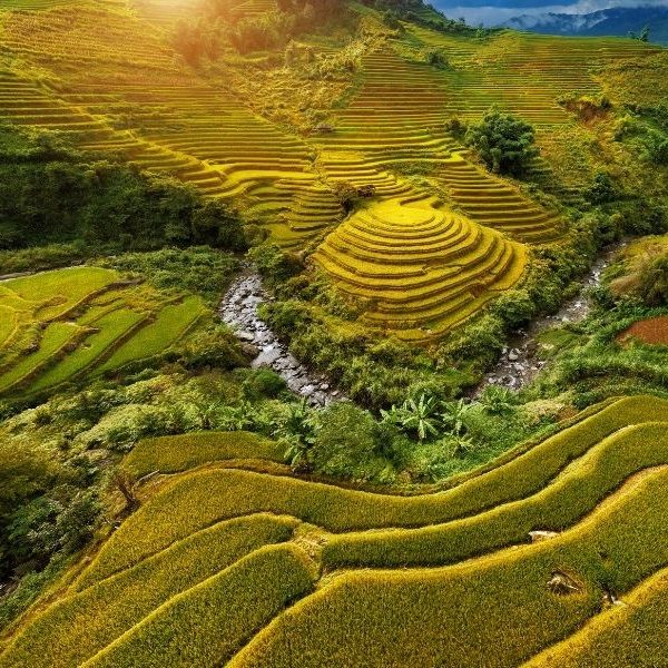 Must-Visit Destinations for Vietnam Luxury Tours