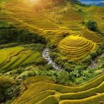 Must-Visit Destinations for Vietnam Luxury Tours
