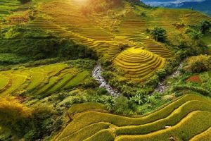 Must-Visit Destinations for Vietnam Luxury Tours