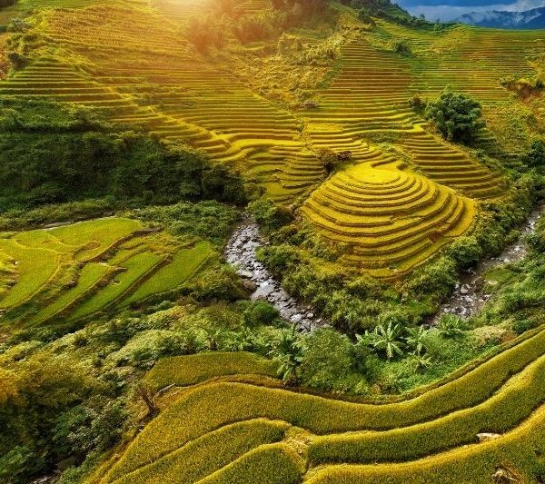 Must-Visit Destinations for Vietnam Luxury Tours