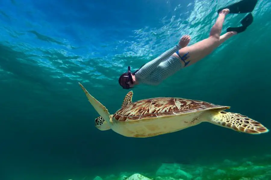 Similan Islands Snorkeling - best diving destinations in Southeast Asia