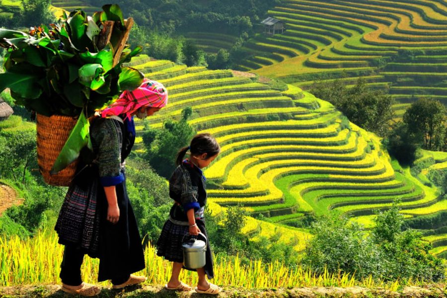Vietnam Grand Luxury Tour – 21 Days