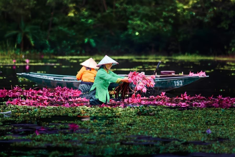 Vietnam - Top Asian Countries for Luxury Travelers