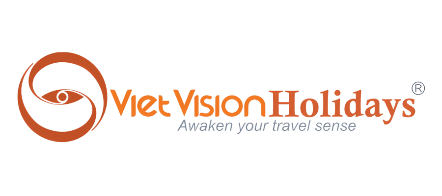 Viet Vision Holidays logo