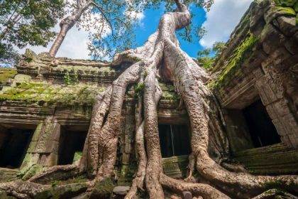 angkor wat complex at siem reap