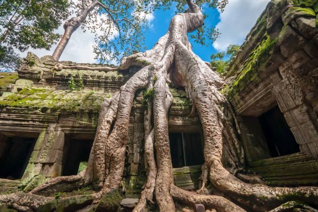 angkor wat complex at siem reap