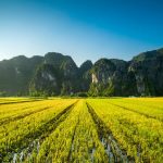 best time to visit vietnam