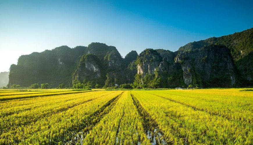 best time to visit vietnam