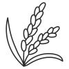 plant.png