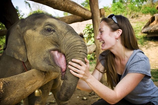 playing with elephant best vietnam luxury tour companies