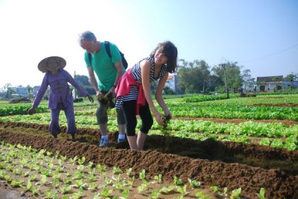 tra que herb village