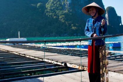 visit pearl farm in halong bay