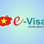 E-Visa Experience